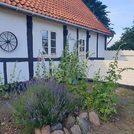 Appartement Violen à Åkirkeby Extérieur photo