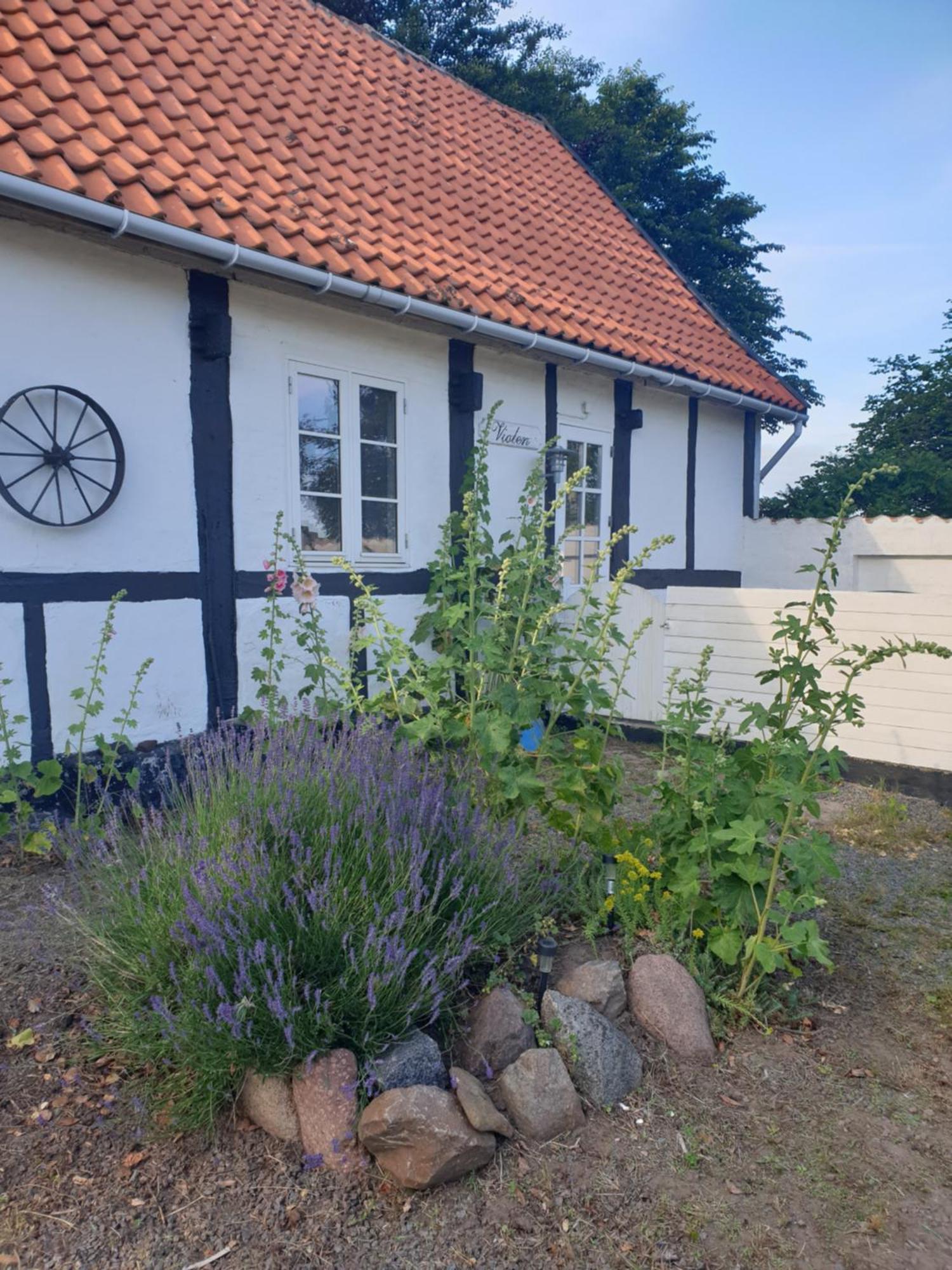 Appartement Violen à Åkirkeby Extérieur photo